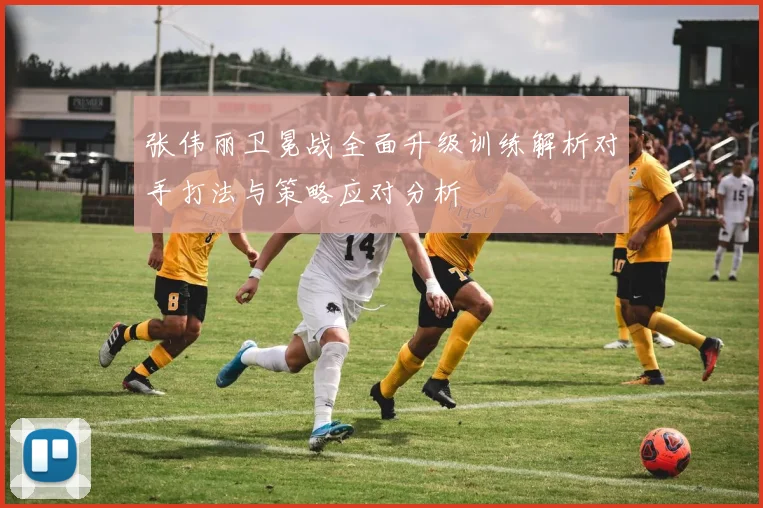 张伟丽卫冕战全面升级训练解析对手打法与策略应对分析